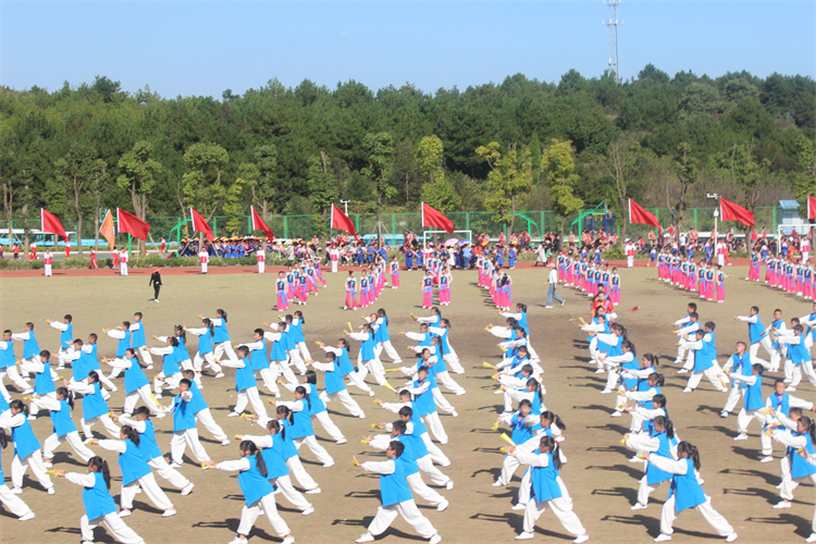 武术表演